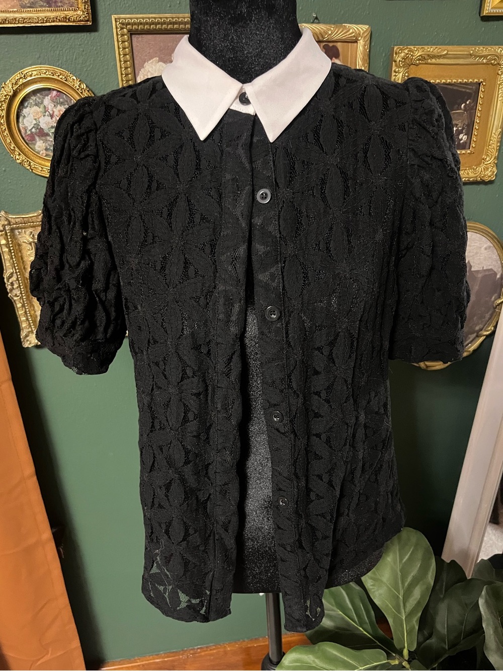 Jealous Tomato Black Lace Button-Front Top with White Collar